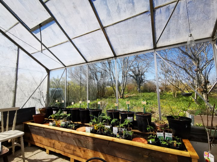 スウェーデンの島に暮らす