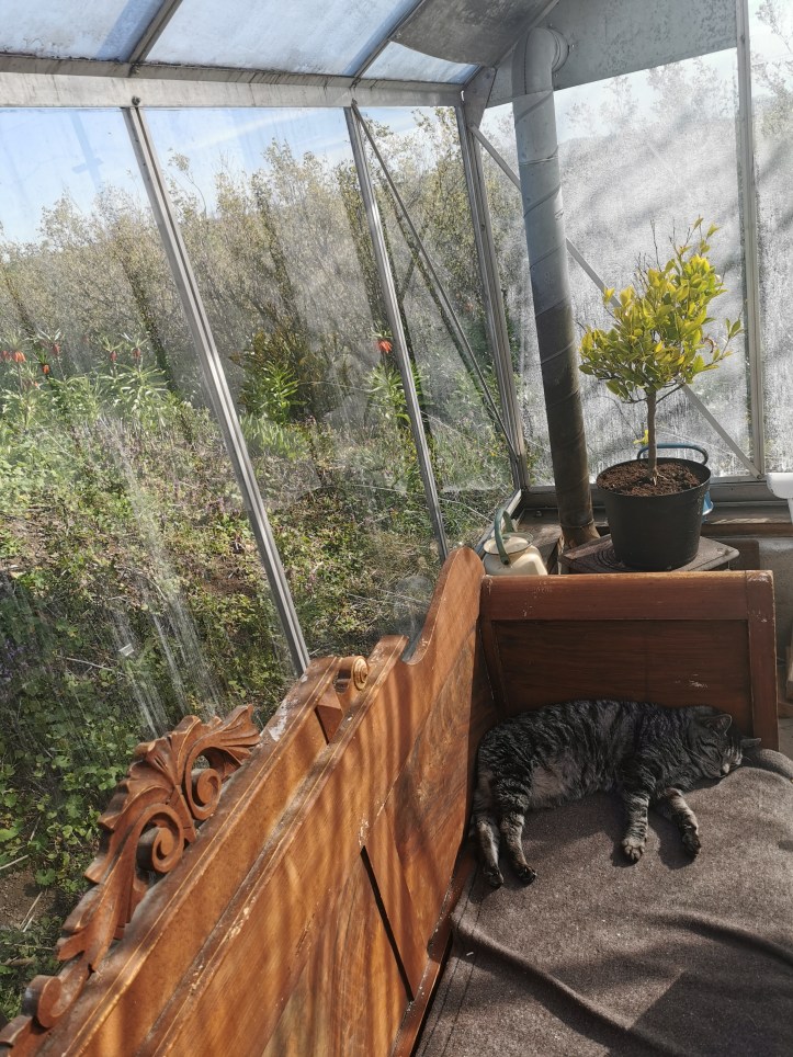 スウェーデンの島に暮らす