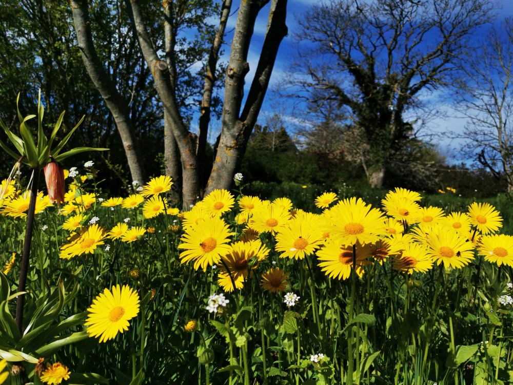 スウェーデンの島に暮らす