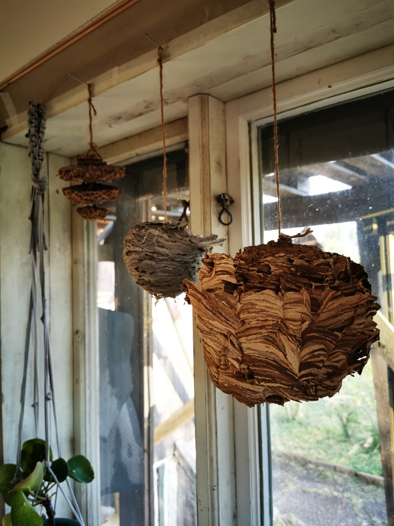 スウェーデンの島に暮らす