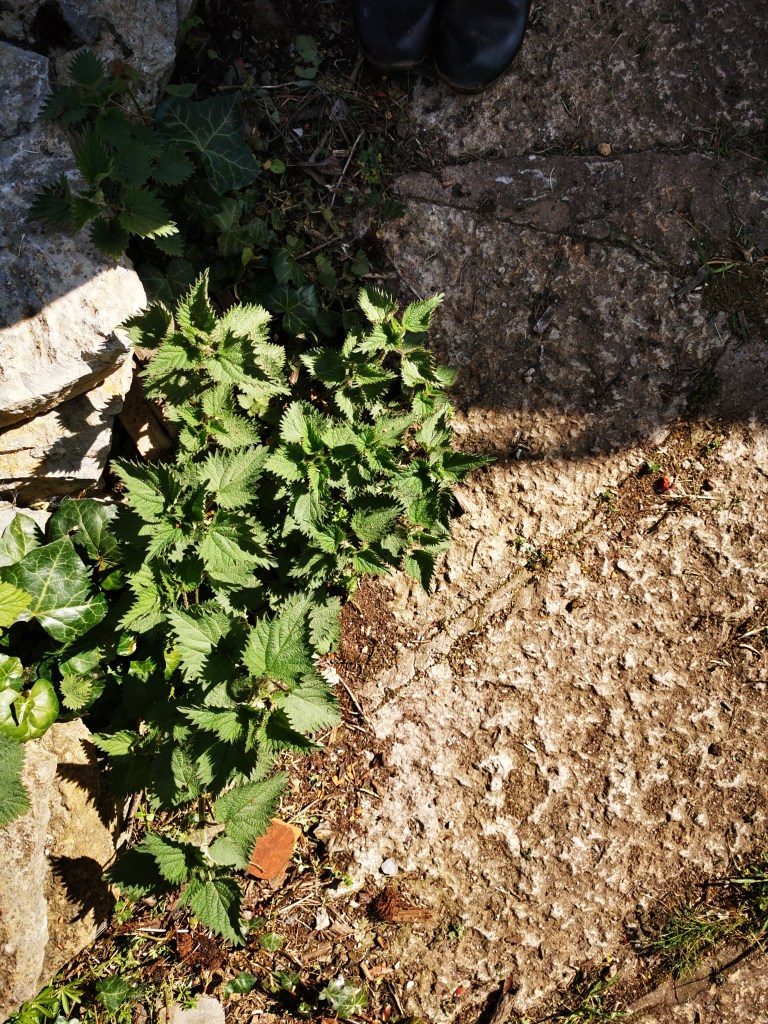 スウェーデンの島に暮らす