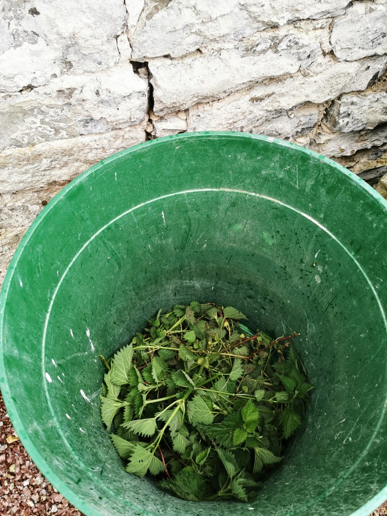 スウェーデンの島に暮らす