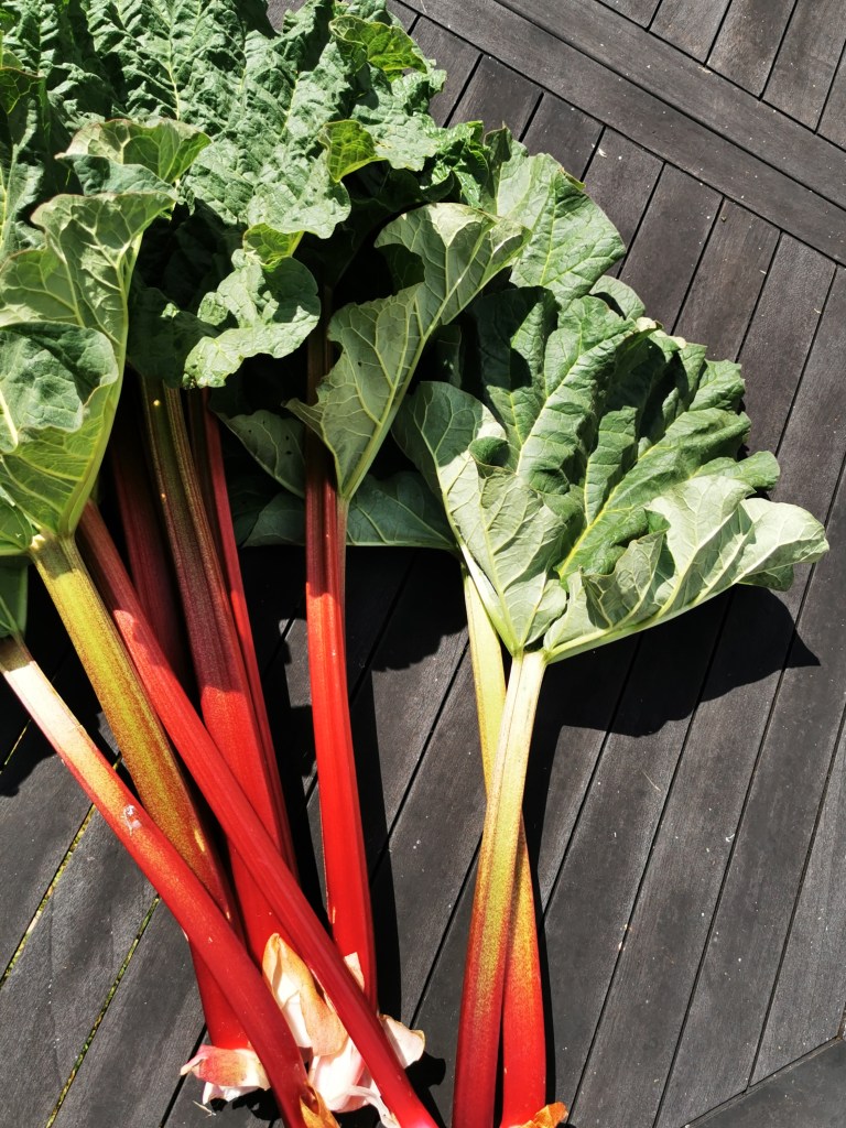 スウェーデンの島に暮らす