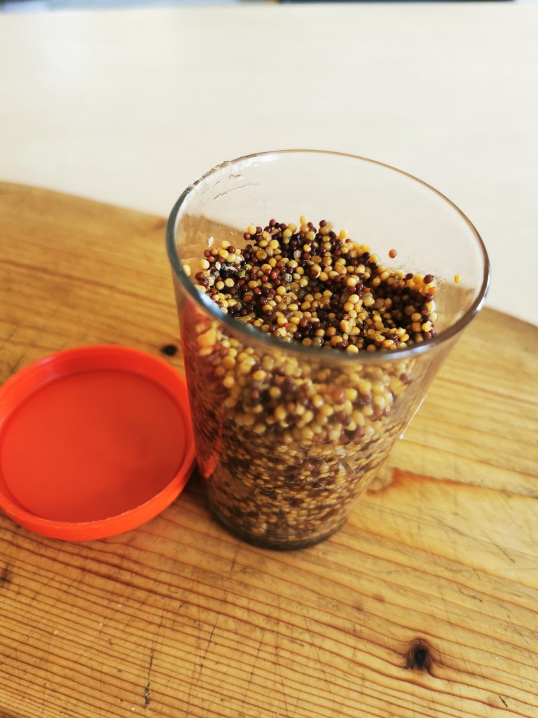 スウェーデンの島に暮らす