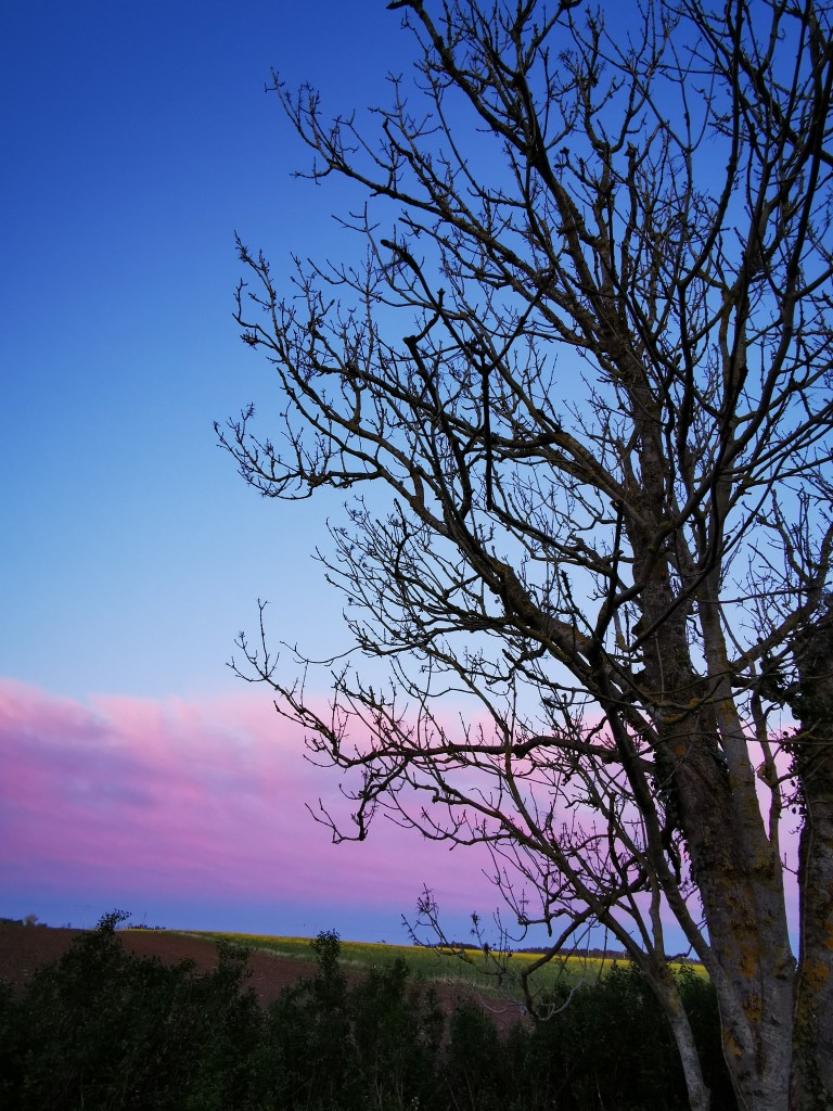 スウェーデンの島に暮らす