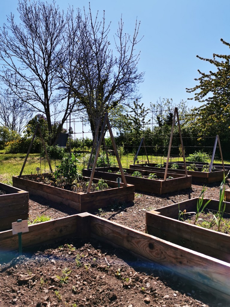 スウェーデンの島に暮らす