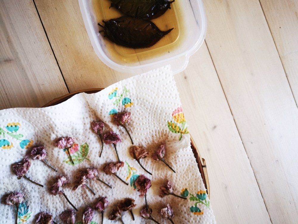 スウェーデンの島に暮らす