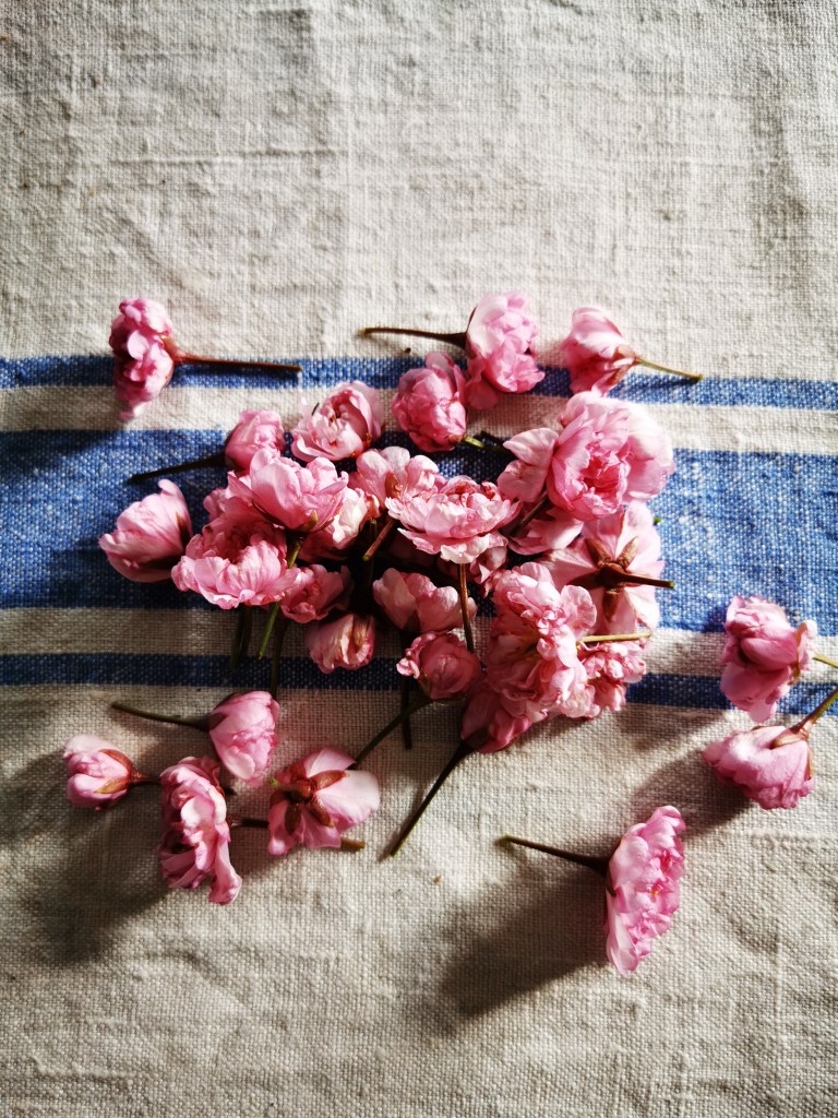 スウェーデンの島に暮らす