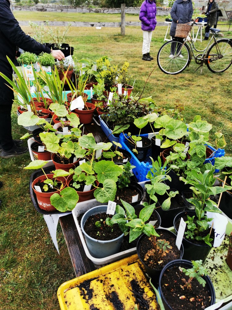 スウェーデンの島に暮らす