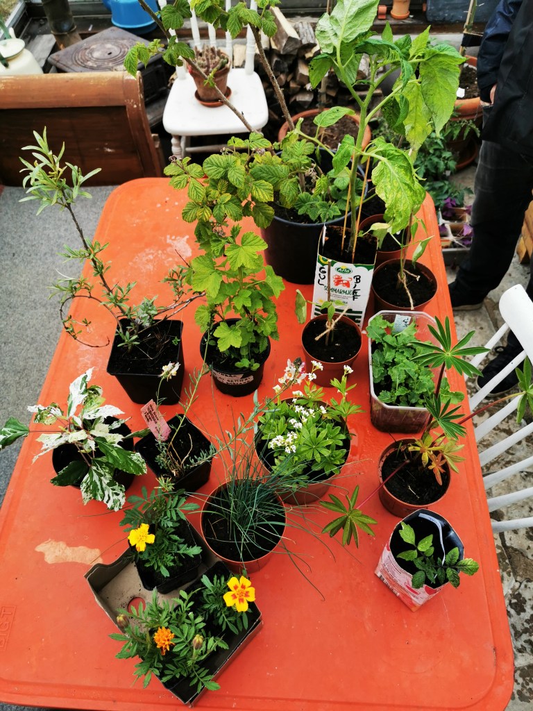 スウェーデンの島に暮らす