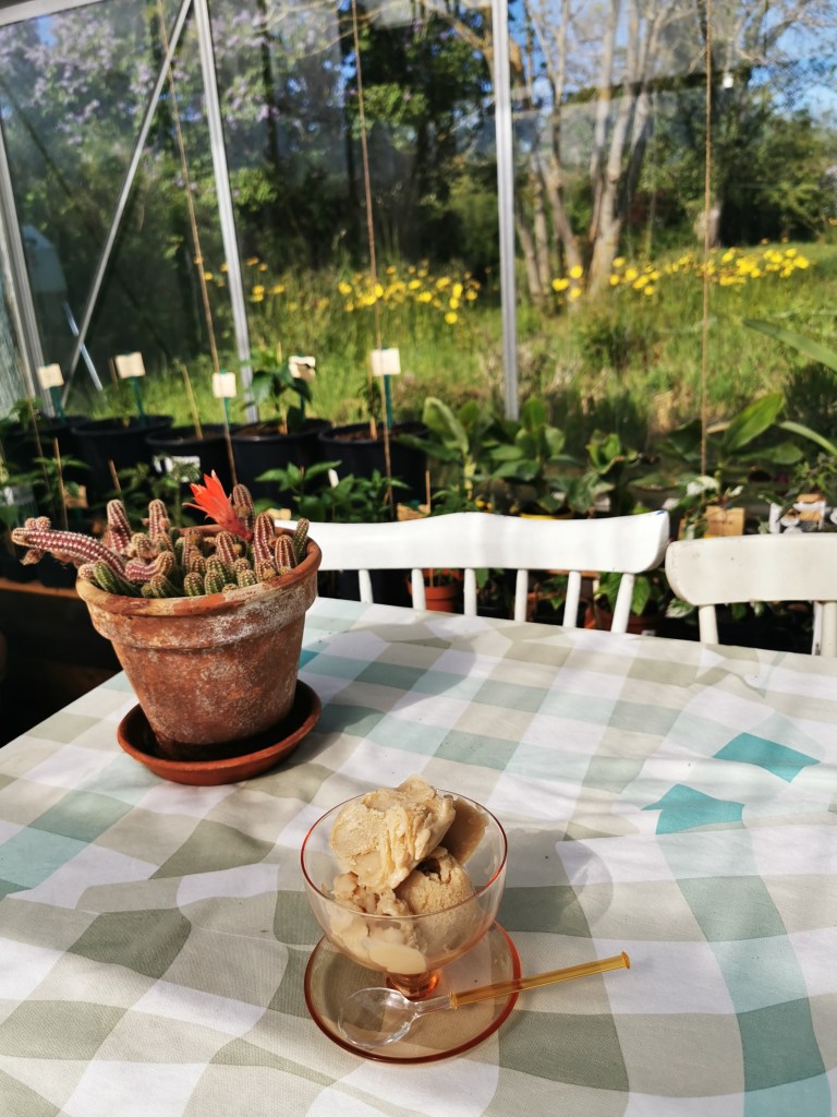 スウェーデンの島に暮らす