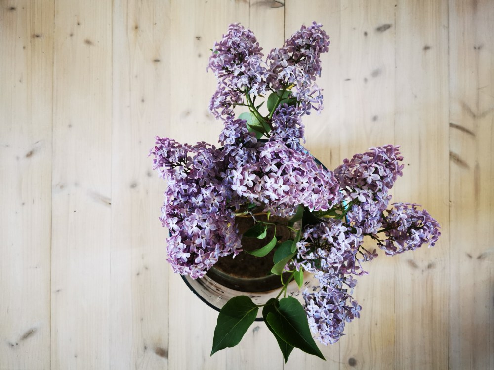 スウェーデンの島に暮らす
