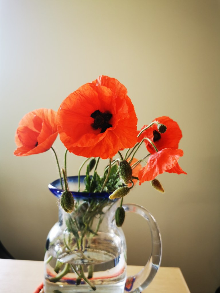 スウェーデンの島に暮らす