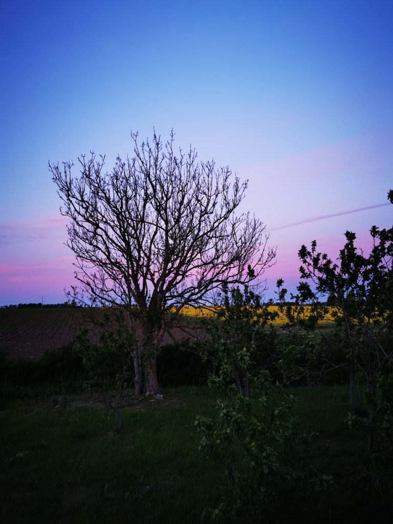 スウェーデンの島に暮らす