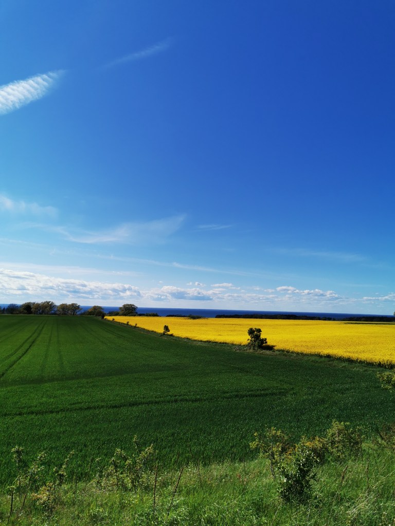 スウェーデンの島に暮らす