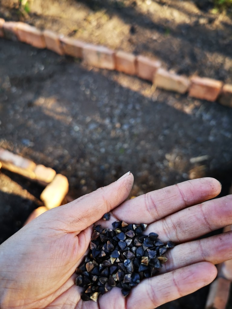 スウェーデンの島に暮らす