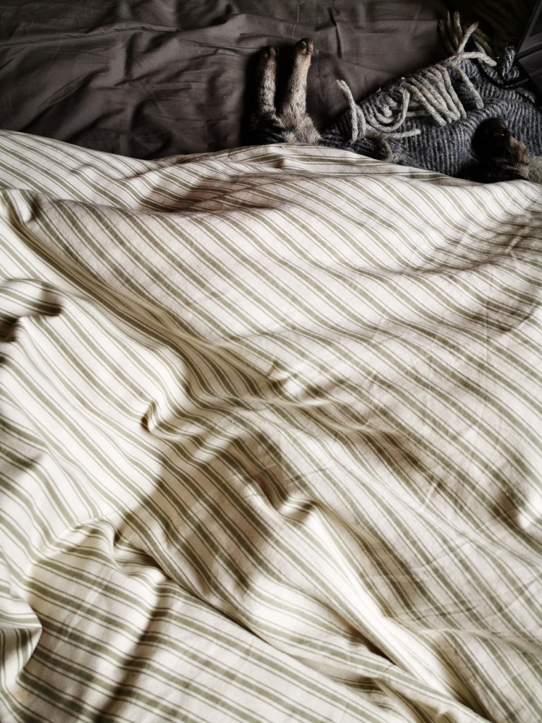 スウェーデンの島に暮らす