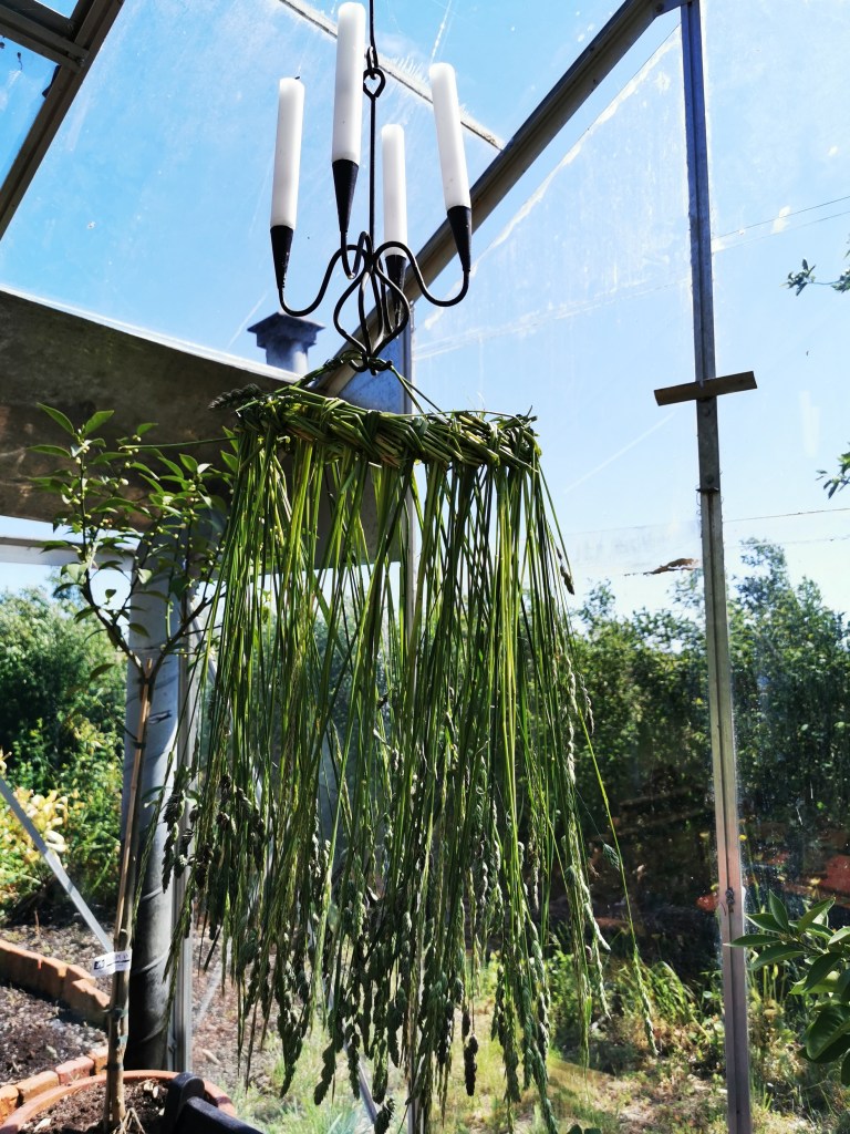 スウェーデンの島に暮らす