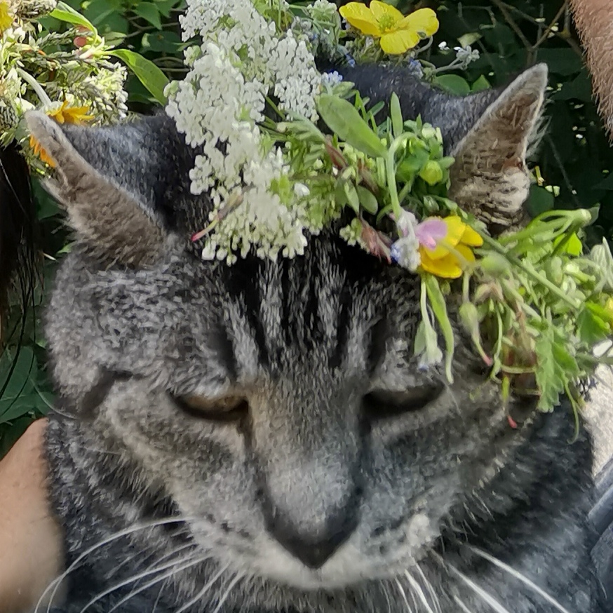 スウェーデンの島に暮らす