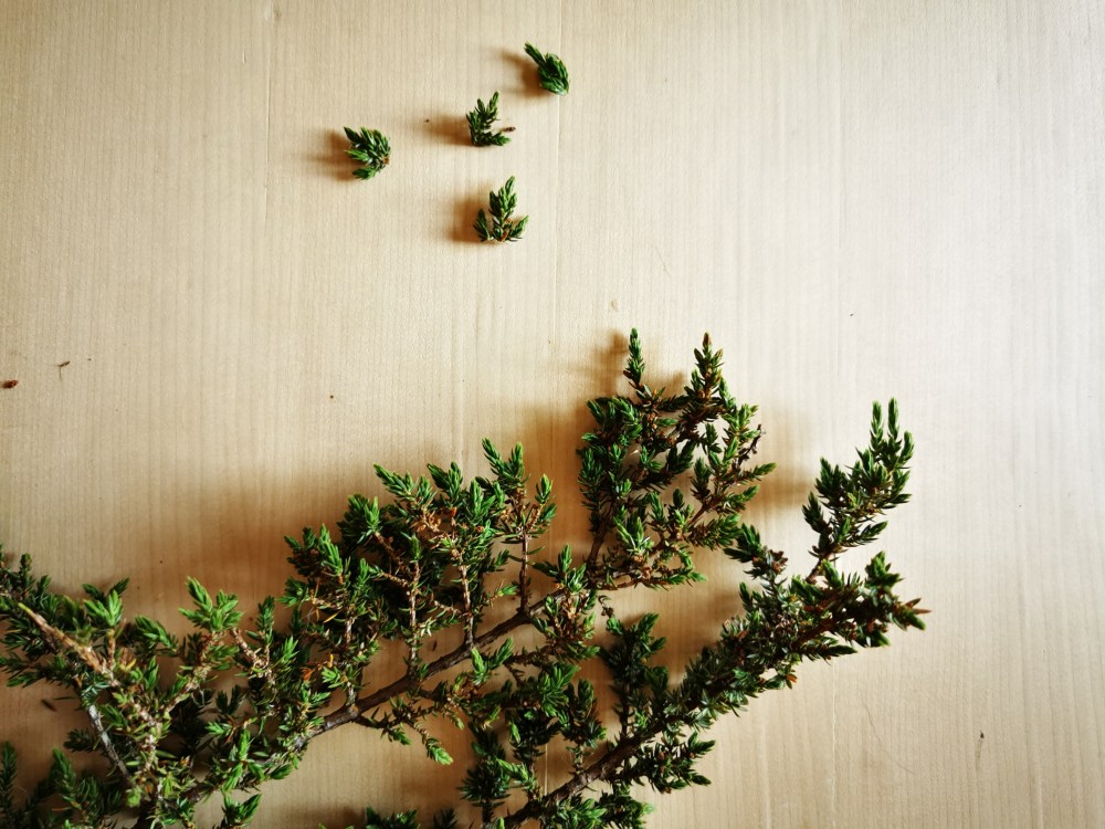 スウェーデンの島に暮らす