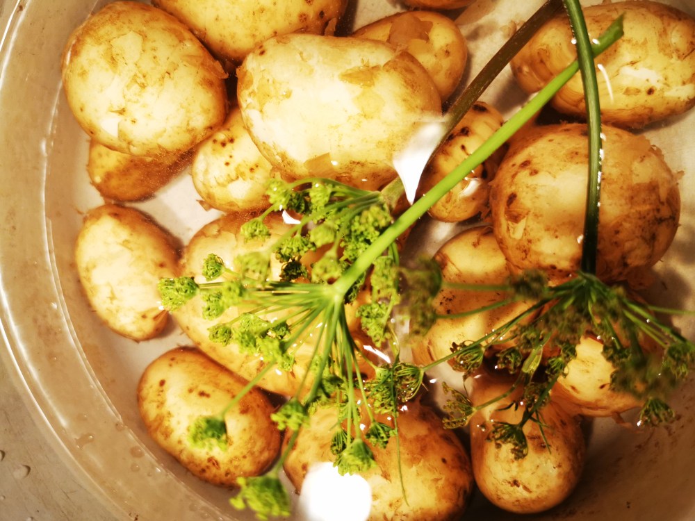 スウェーデンの島に暮らす