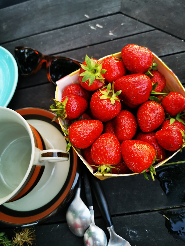 スウェーデンの島に暮らす