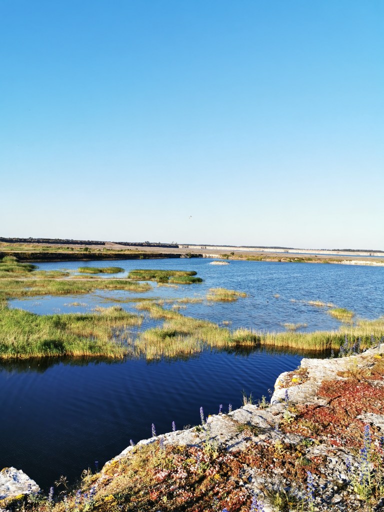スウェーデンの島に暮らす