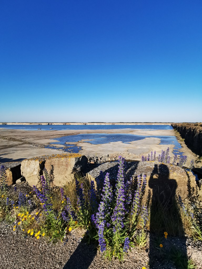 スウェーデンの島に暮らす