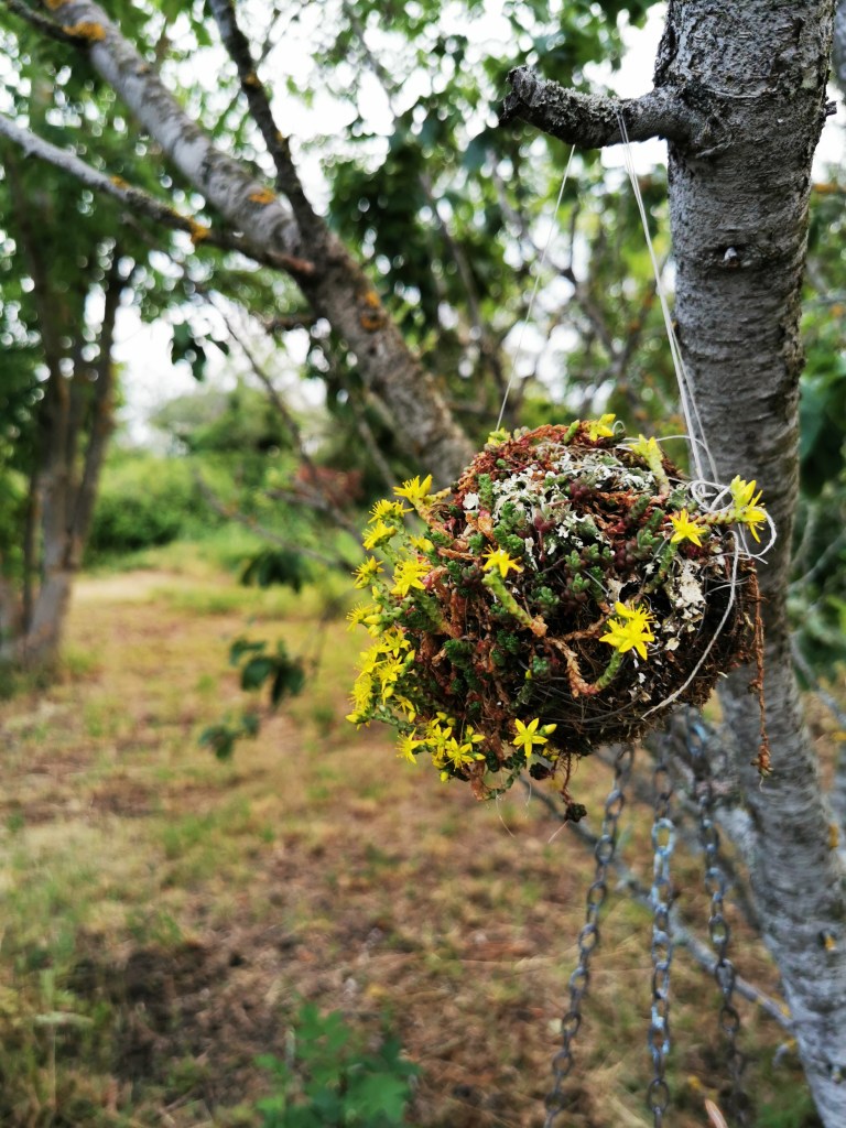 スウェーデンの島に暮らす