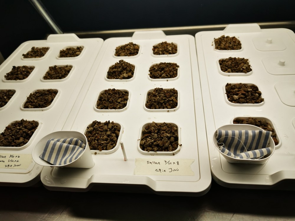 スウェーデンの島に暮らす