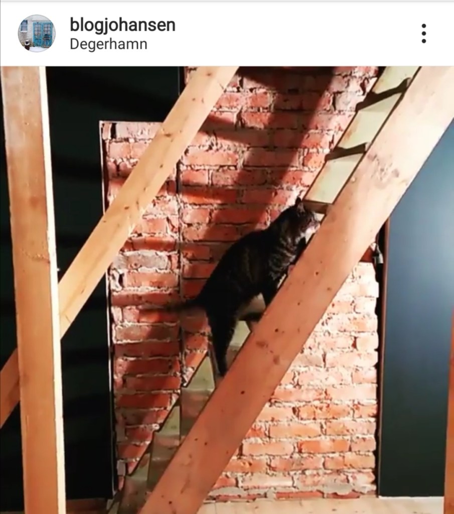 スウェーデンの島に暮らす