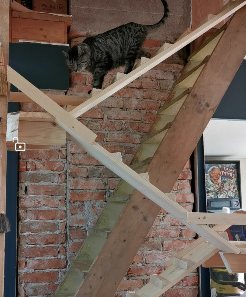 スウェーデンの島に暮らす