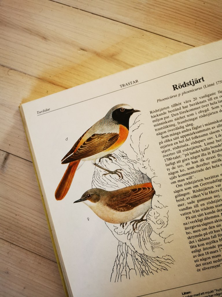 スウェーデンの島に暮らす