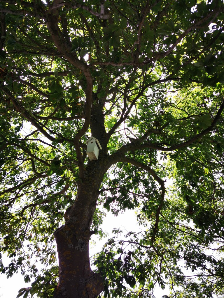 スウェーデンの島に暮らす