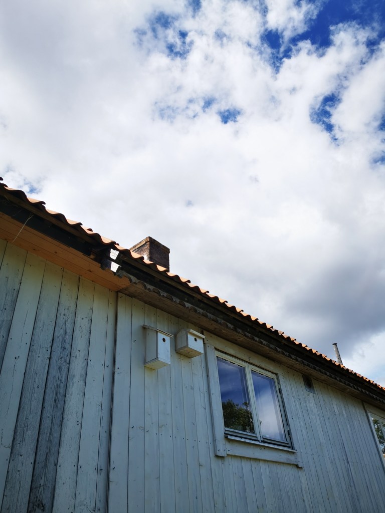 スウェーデンの島に暮らす
