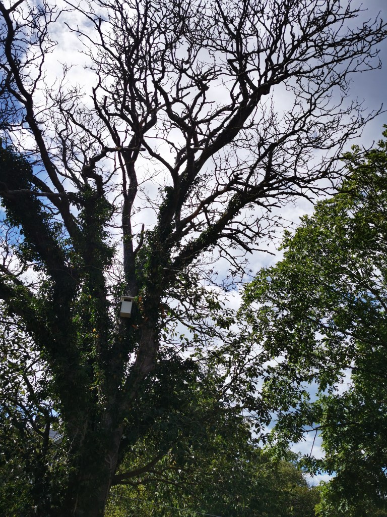 スウェーデンの島に暮らす