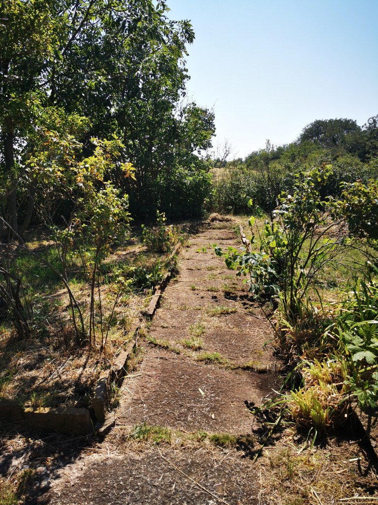 スウェーデンの島に暮らす