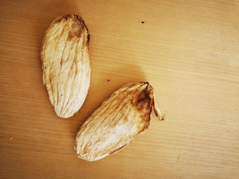 スウェーデンの島に暮らす