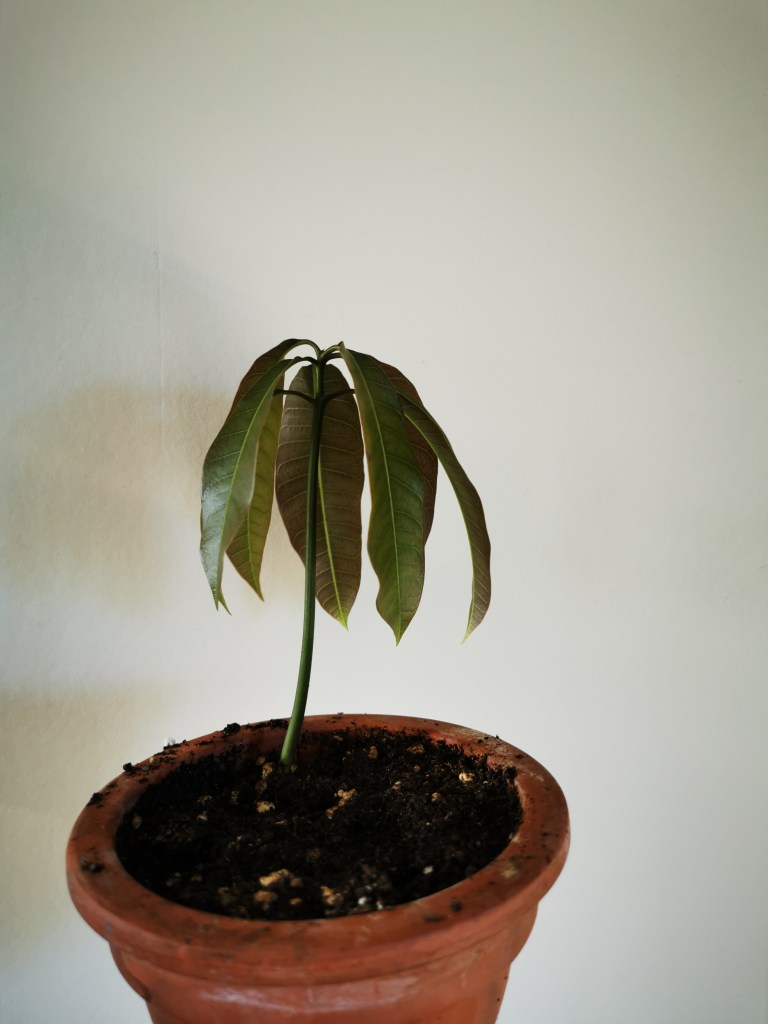 スウェーデンの島に暮らす