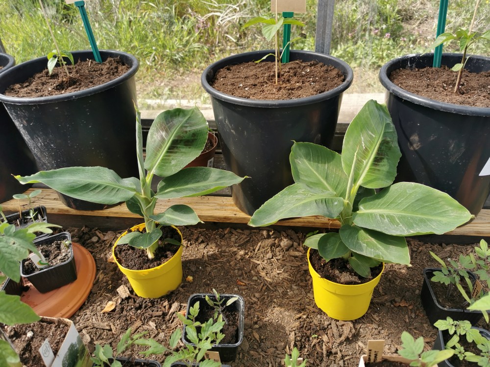 スウェーデンの島に暮らす