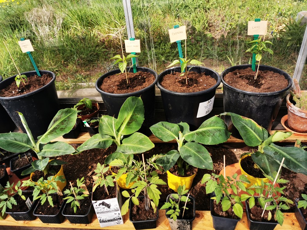 スウェーデンの島に暮らす