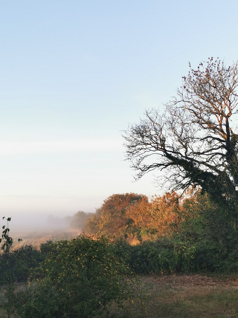 スウェーデンの島に暮らす