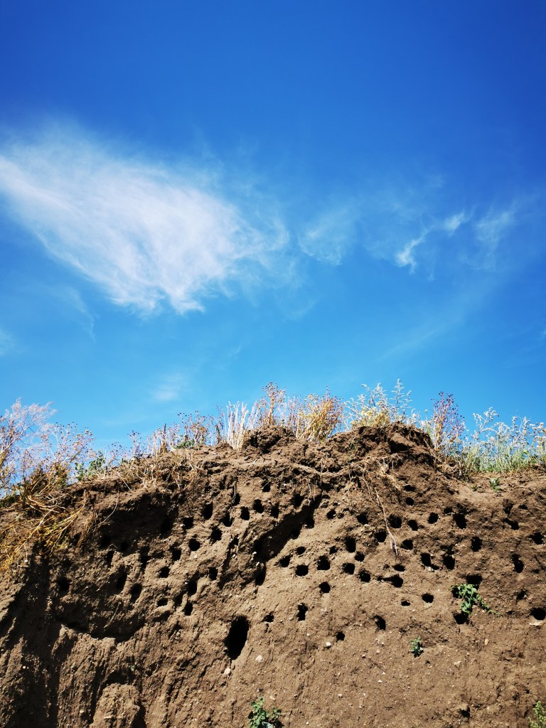 スウェーデンの島に暮らす