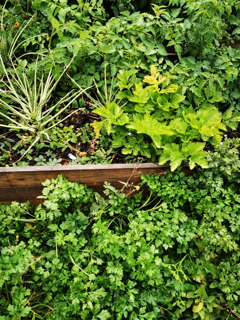 スウェーデンの島に暮らす
