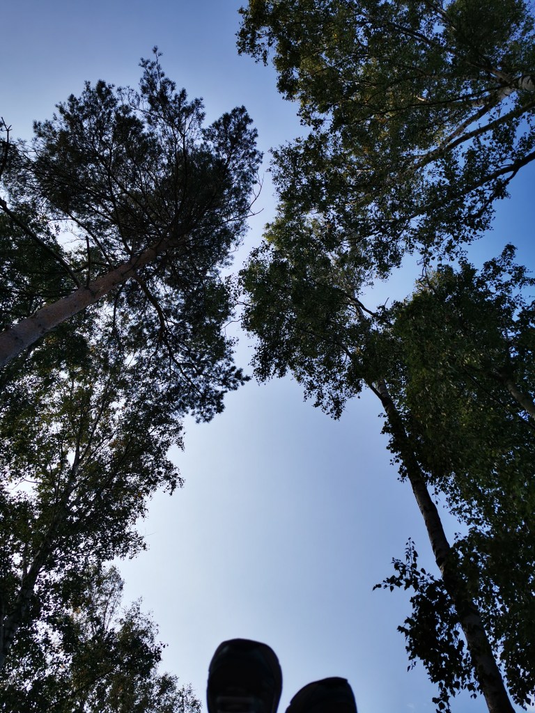 スウェーデンの島に暮らす