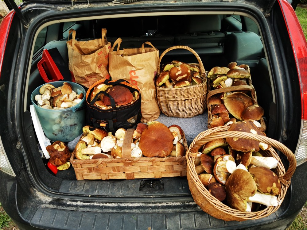 スウェーデンの島に暮らす