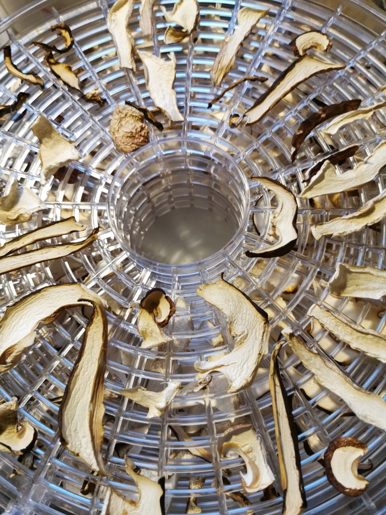 スウェーデンの島に暮らす