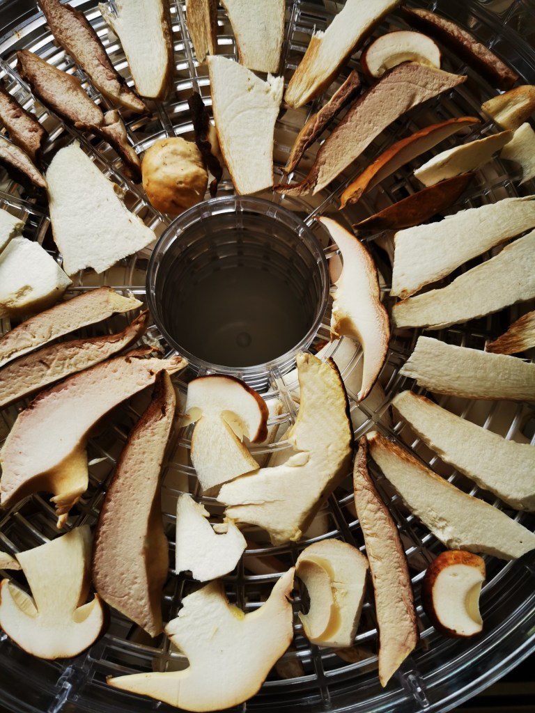 スウェーデンの島に暮らす