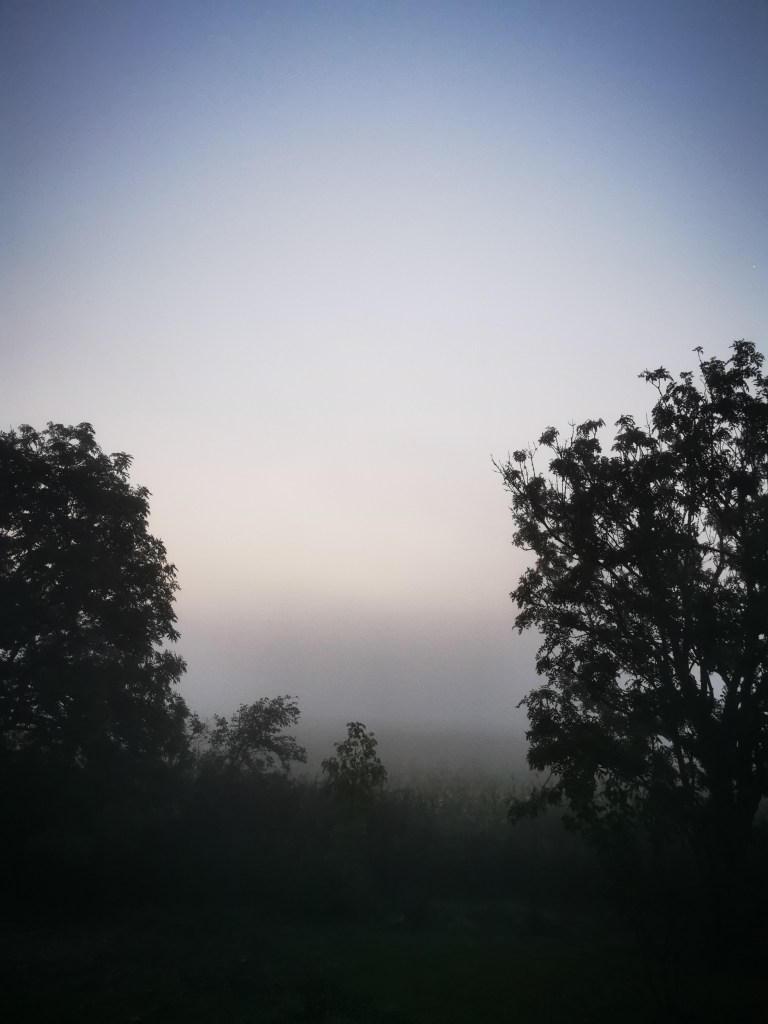 スウェーデンの島に暮らす