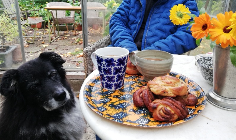 スウェーデンの島に暮らす